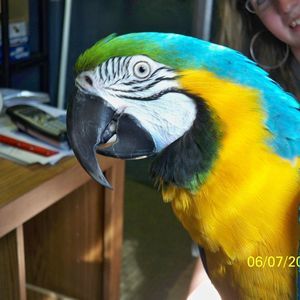 Meet your Posher, Donita